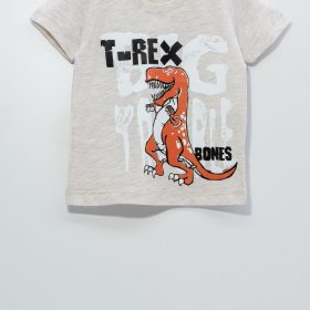 1-3 Yaş Gri T-REX Bebe Tişört